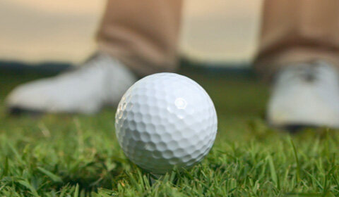 圣淘沙游乐平台life