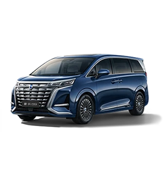 2024款圣淘沙游乐平台D9