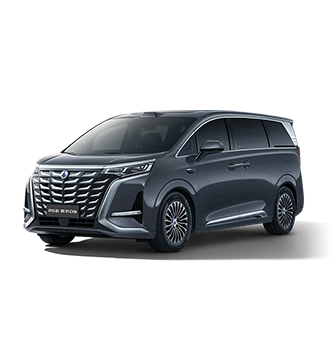 2025款圣淘沙游乐平台D9